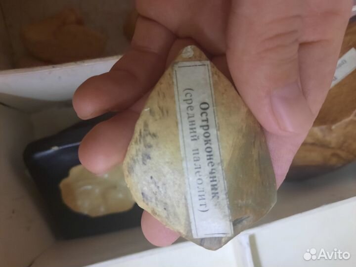 Муляжи древних останков