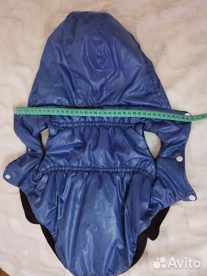 Одежда для собак