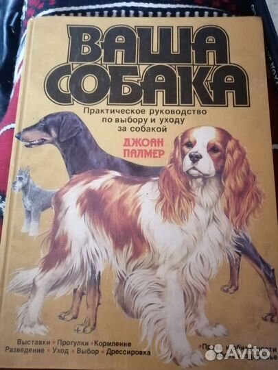 Литература