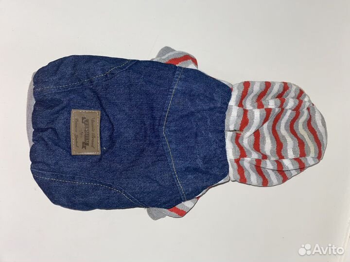 Одежда для маленьких собак