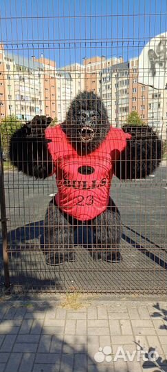 Поздравление от Кинг-Конга 2,6 метра,аниматоры