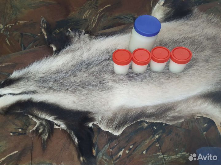 Барсучий жир