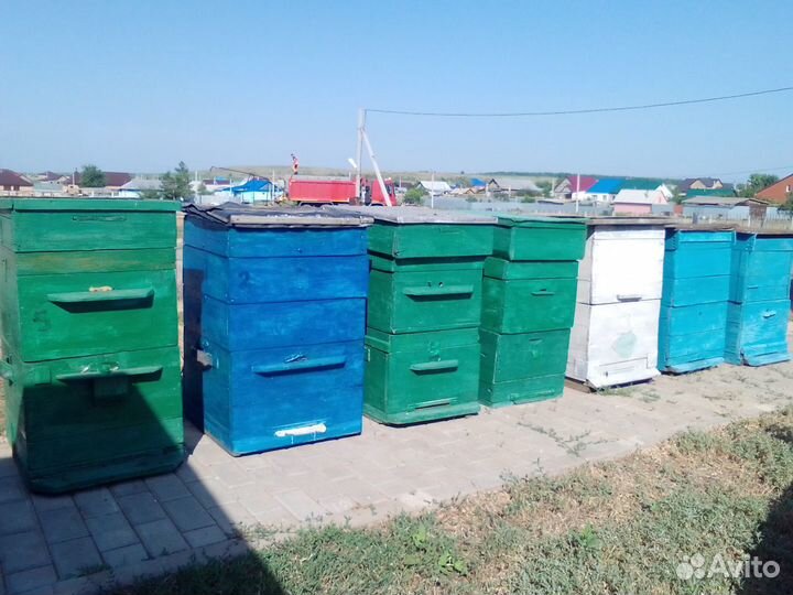 Ульи б/у