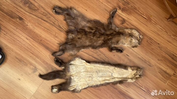 Шкурки соболя финка