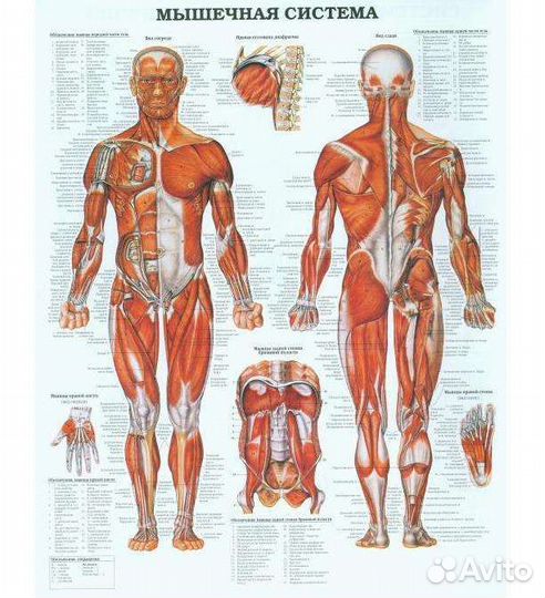 Массаж расслабляющий