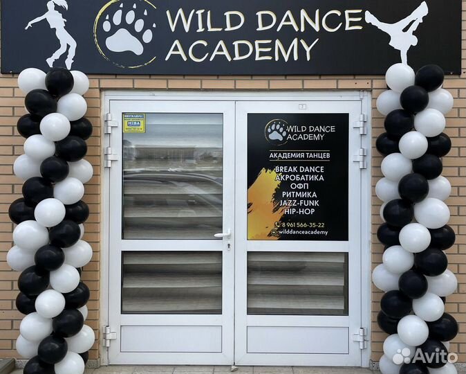 Гирлянда из воздушных шаров (Арка) на открытие