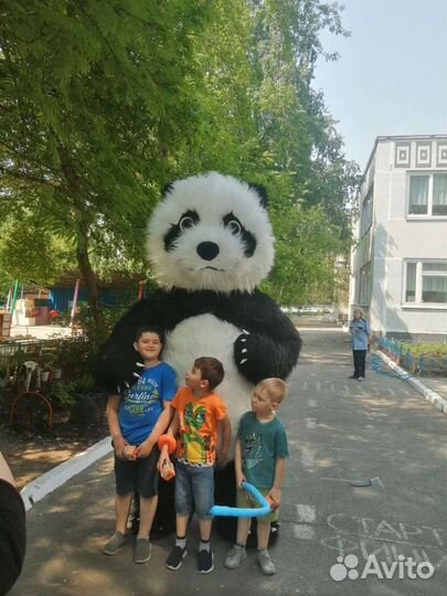 Экспресс поздравления надувных и ростовых кукол