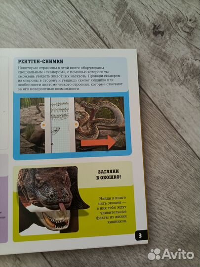 Сканорама - энциклопедия