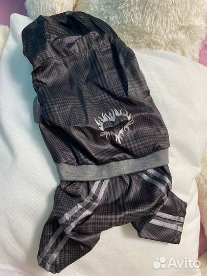 Одежда для собак