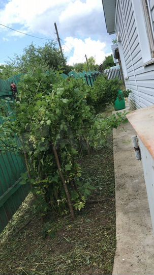 Дача 100 м² на участке 10 сот.