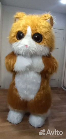 Поздравление ростовой куклы Котика Рыжика