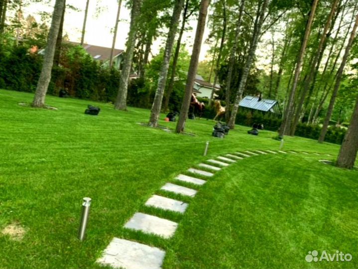 Рулонный газон