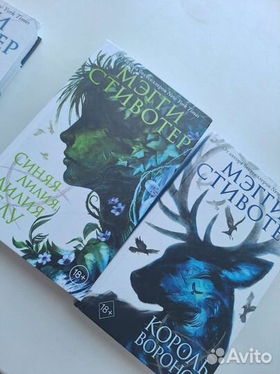 Цикл Воронята