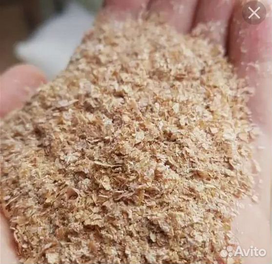 Пшеничные отруби