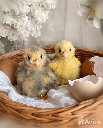 Цыплята игрушки