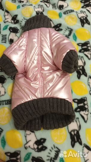 Куртка для маленькой собаки