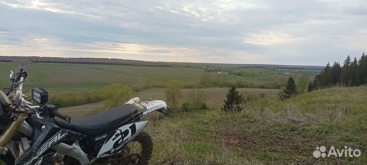 Stels 450
