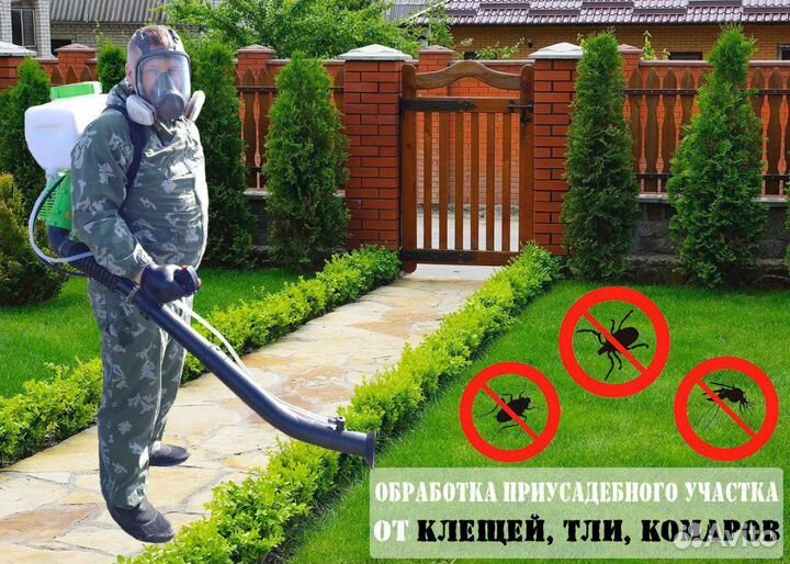 Уничтожение насекомых