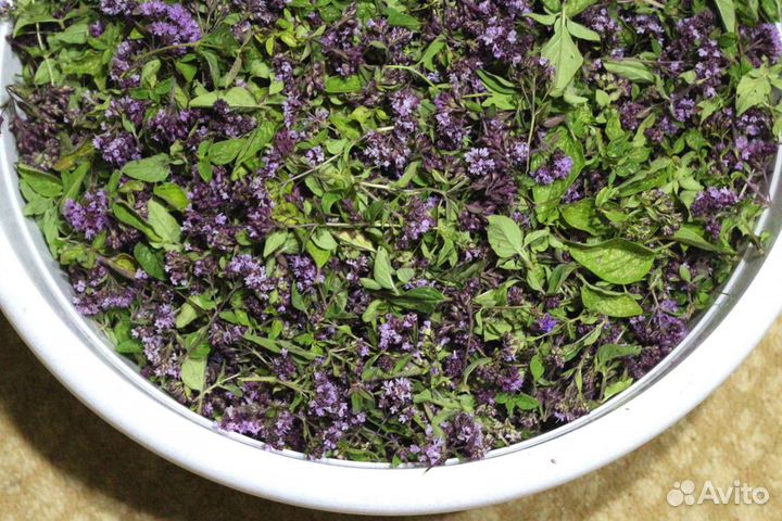 Душица сушеная