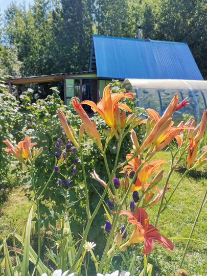 Дача 20 м² на участке 7 сот.