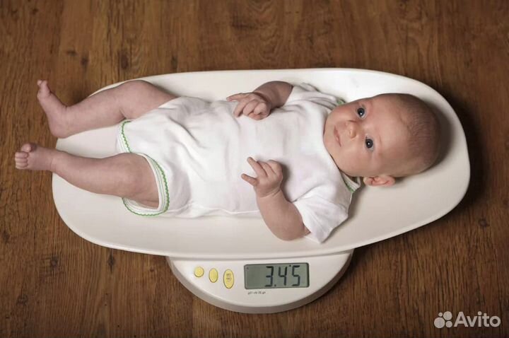 Аренда. Электронные весы Laica