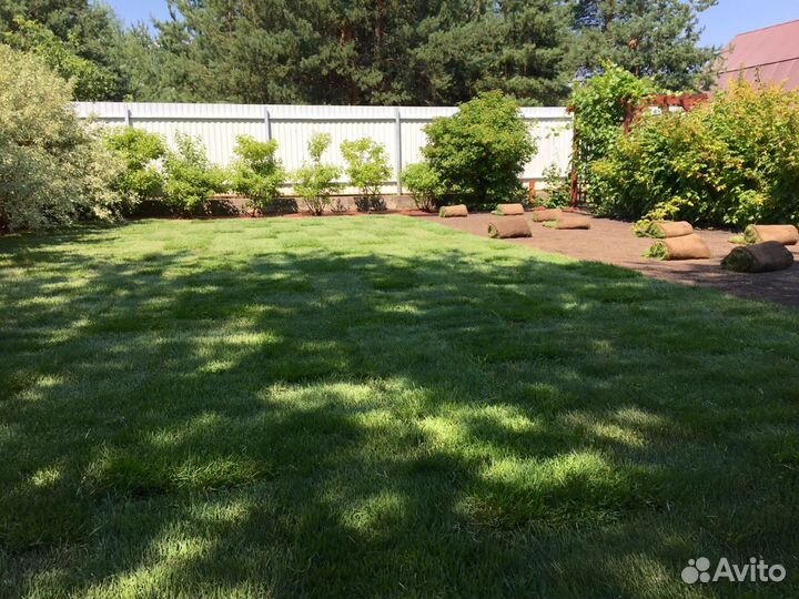 Рулонный газон