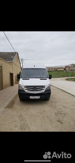 Туры, перевозки, аренда, заказ микроавтобуса