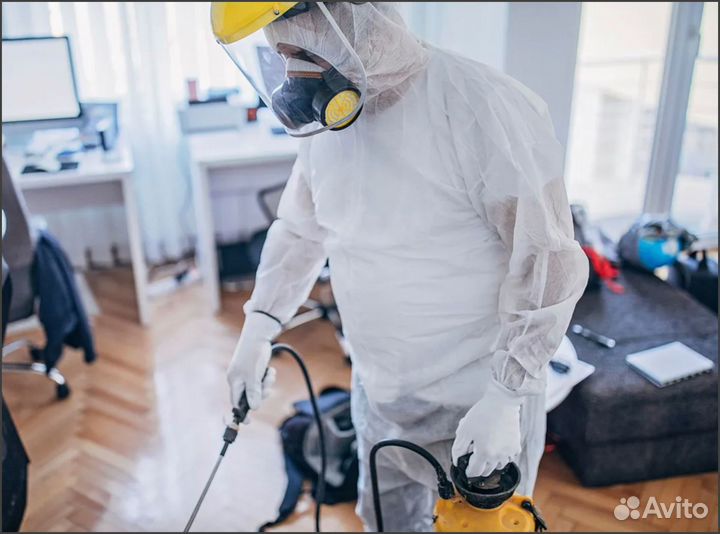 Потравить тараканов, клопов, муравьев, крыс мышей