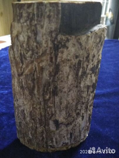 Фрагмент бивня мамонта