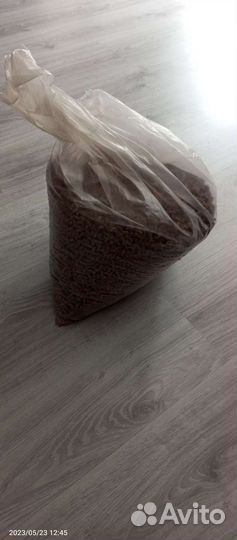 Коты бесплатно