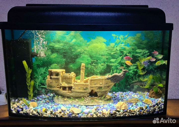 Новый аквариум