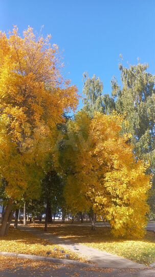 Участок 8 сот. (ИЖС)