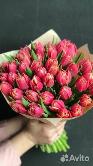 Цветы тюльпаны