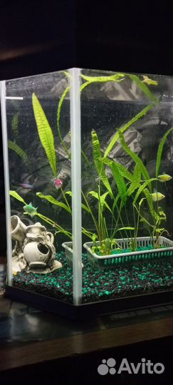 Аквариум