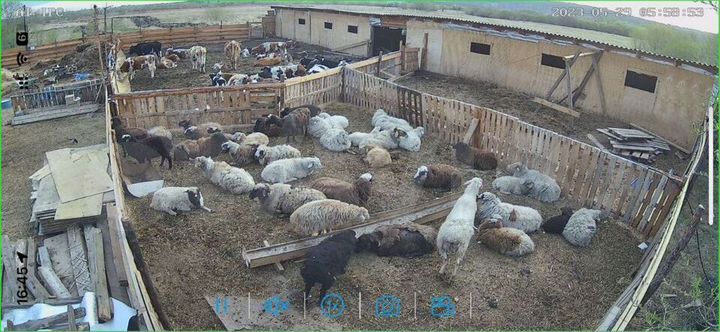 Участок 26,5 сот. (СНТ, ДНП)