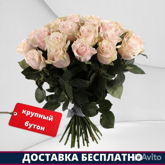 Розы Эквадор - 35 шт. 70 см