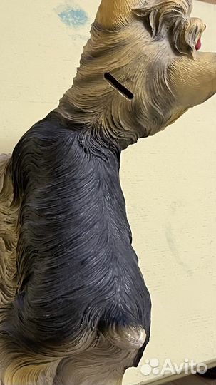 Собака капилка