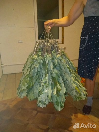 Веники для бани