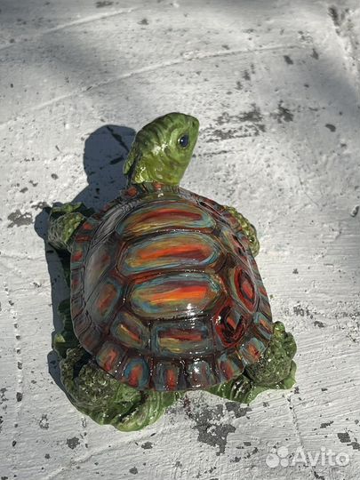 Черепаха изобилия