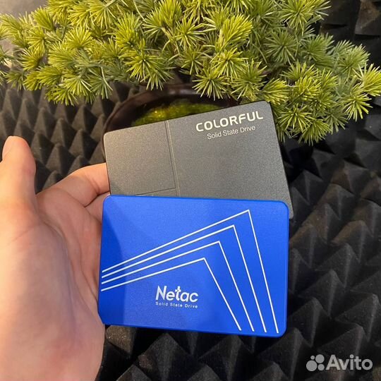 Ssd SATA 2.5 512GB - 1TB