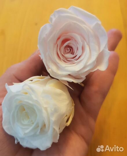 Сухоцветы. Стабилизированные бутоны роз