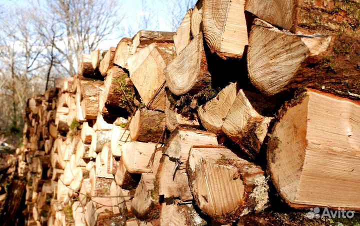 Дрова колки