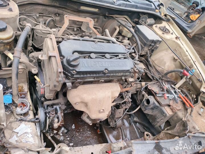 Разбор Киа Спектра