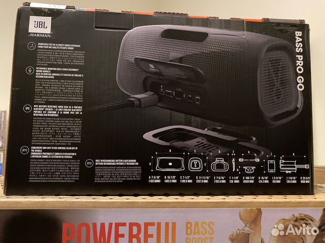 Jbl basspro go