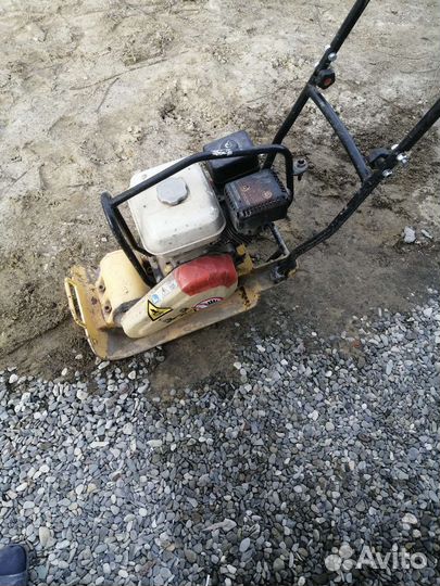 Аренда прокат Виброплиты