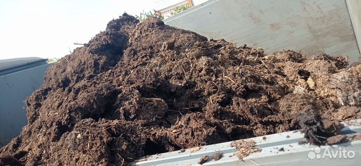 Перегной коровий навоз