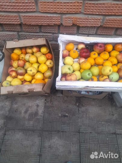 Корма для животных,мясо,хлеб,овощи,молочка