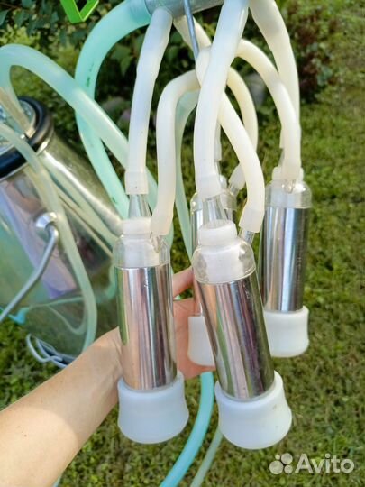 Доильный аппарат 