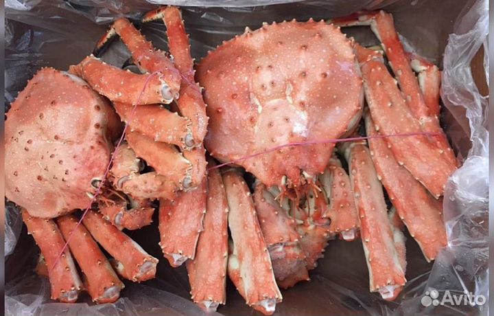 Краб Камчатский