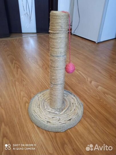 Когтеточка, лежанка